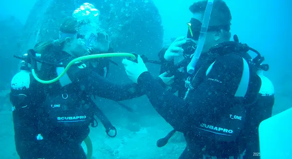 Pro Dive Mauritius