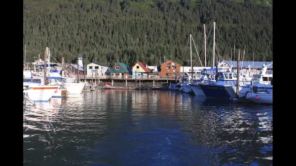 ProFish-n-Sea Alaska Halibut Fishing Charters