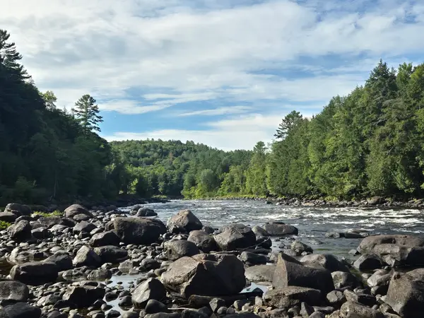 Propulsion Rafting, photo 1