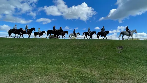 Public Horseback Riding