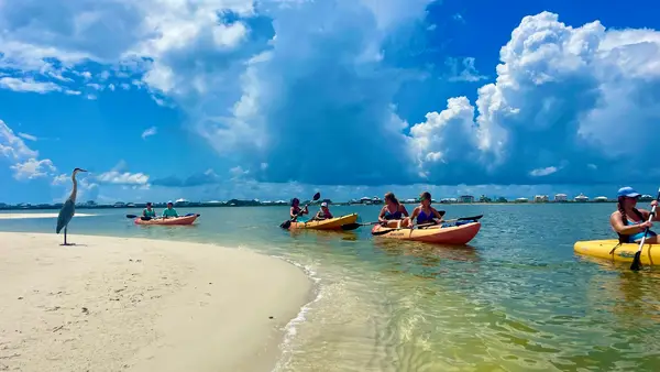 Pure Aloha Adventures, Gulf Shores, AL