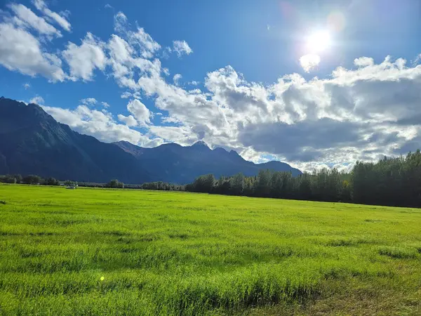 Pyrah's Pioneer Peak Farm, Palmer, AK