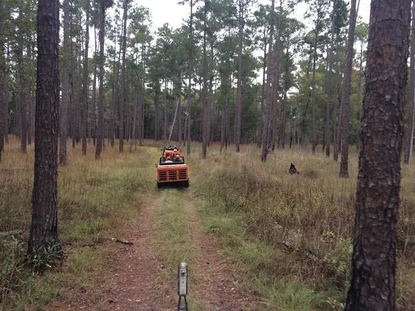 Quailridge Plantation