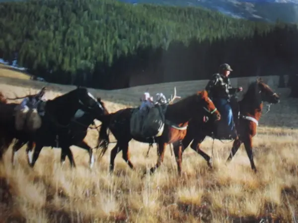 Quaking Aspen Outfitters