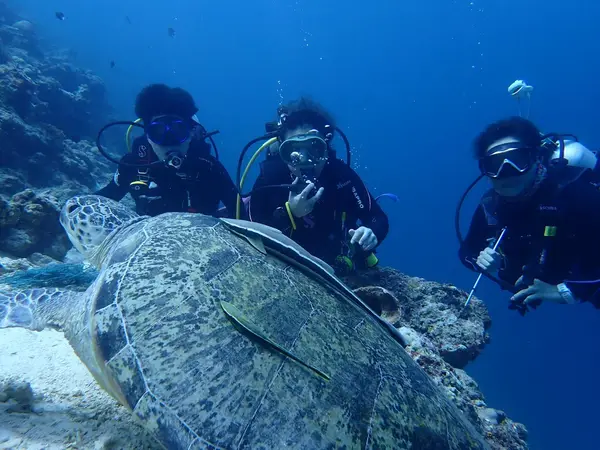 Quality Diving | DFS BORNEO SDN BHD