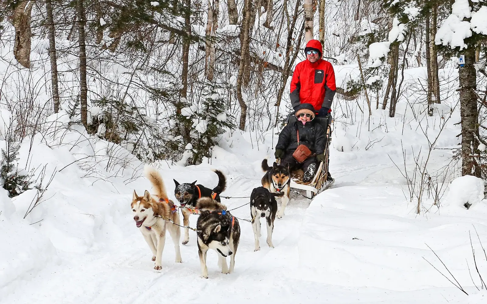 Quebec tours inc.