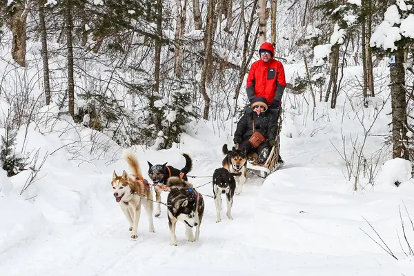 Quebec tours inc.
