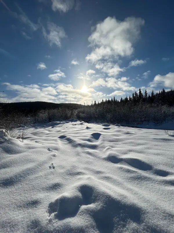 Quebec tours inc., photo 2