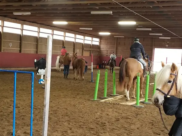 Rach Riding Academy