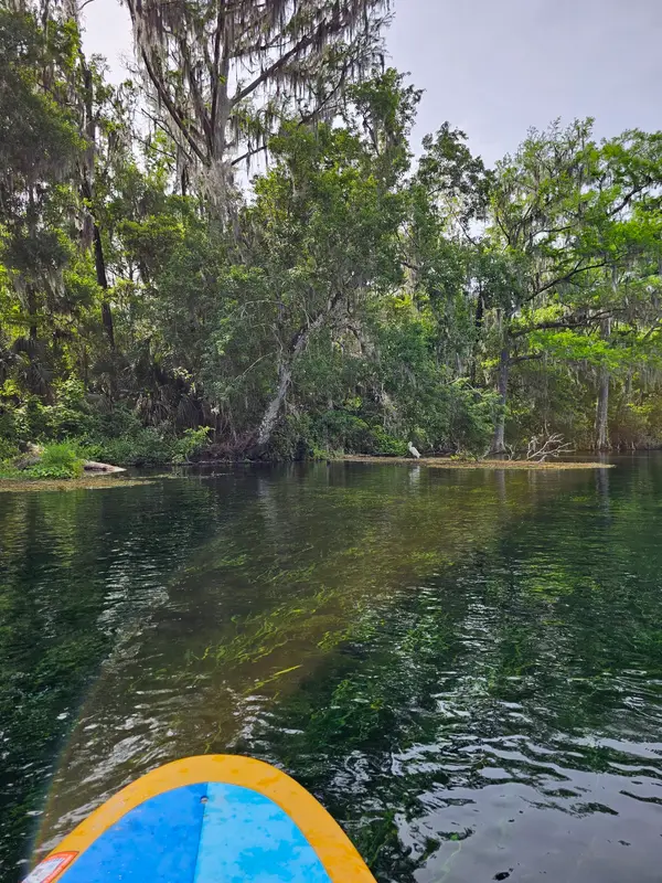 Rainbow River Canoe & Kayak, photo 2
