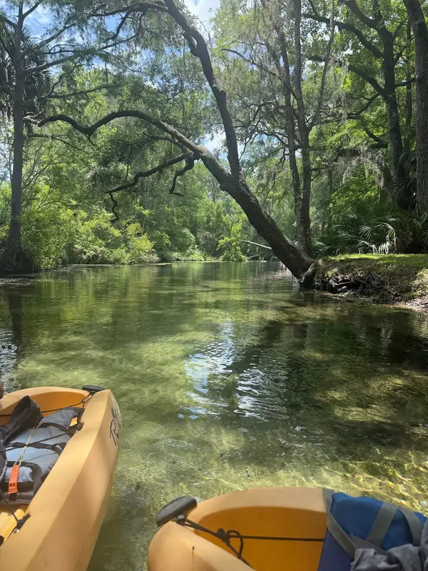 Rainbow River Kayak Adventures, photo 1