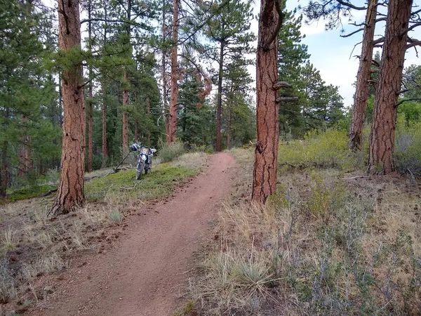 Rampart Range OHV Area