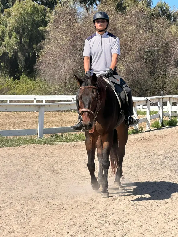Rancho El Camino Equestrian