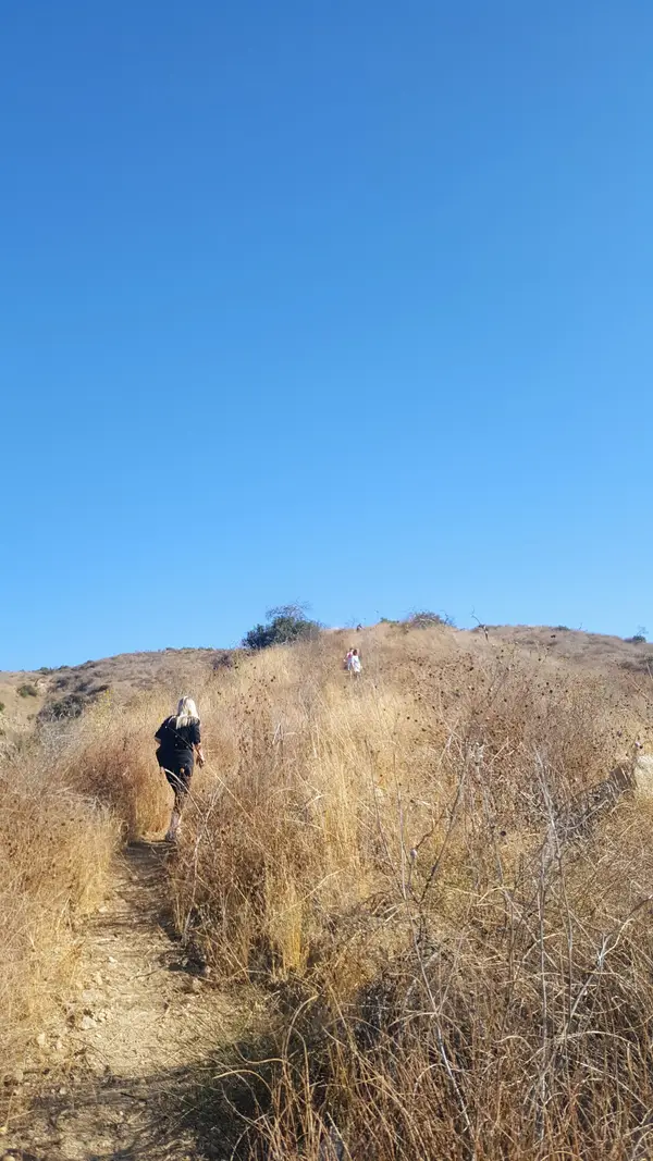 Ravensview Ranch, photo 3
