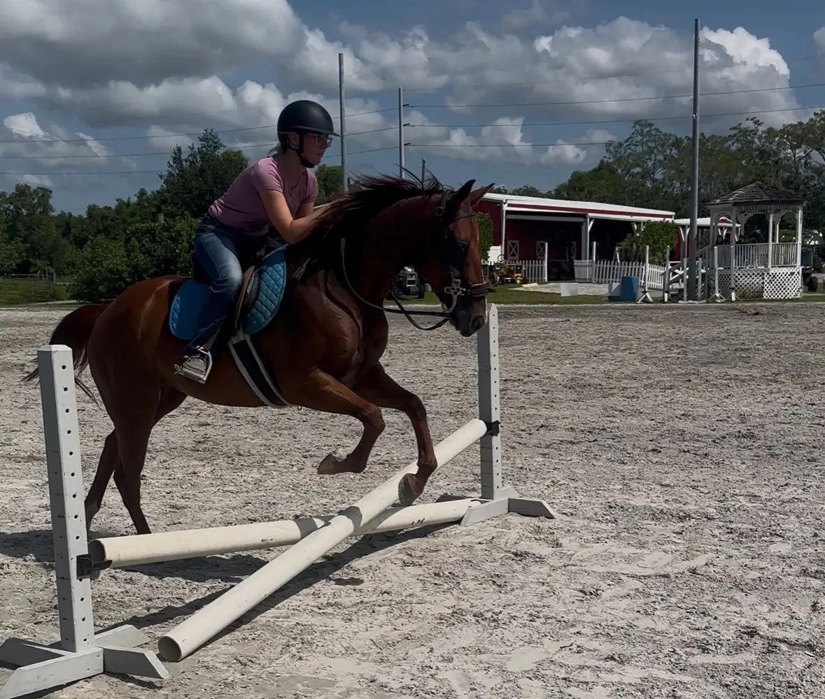 Rayshell Ranch Equestrian