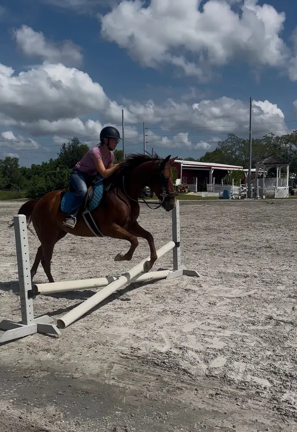 Rayshell Ranch Equestrian