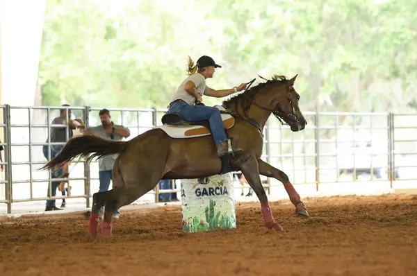 Rayshell Ranch Equestrian, photo 1