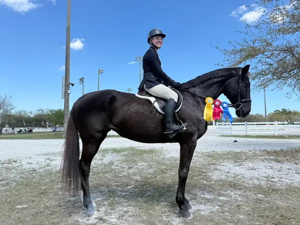 Rayshell Ranch Equestrian, photo 2