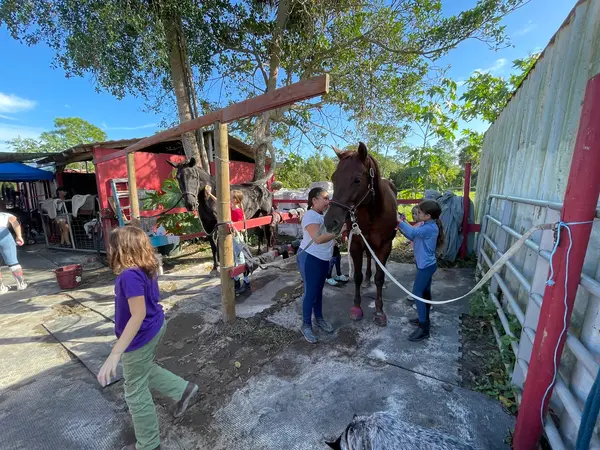 Rayshell Ranch Equestrian, photo 3