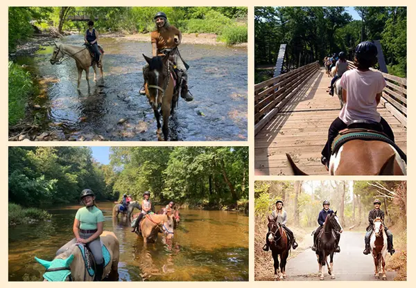 Red Buffalo Stables/Ranch