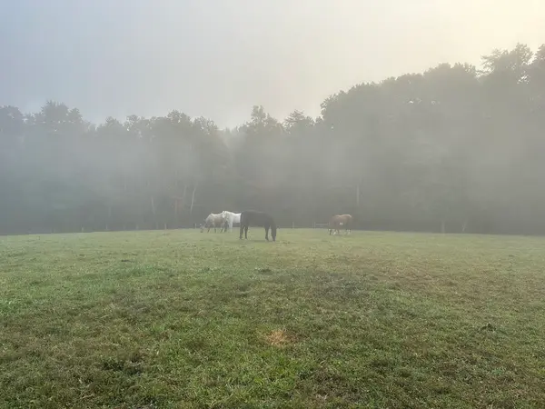 Red Crest Guest Ranch LLC