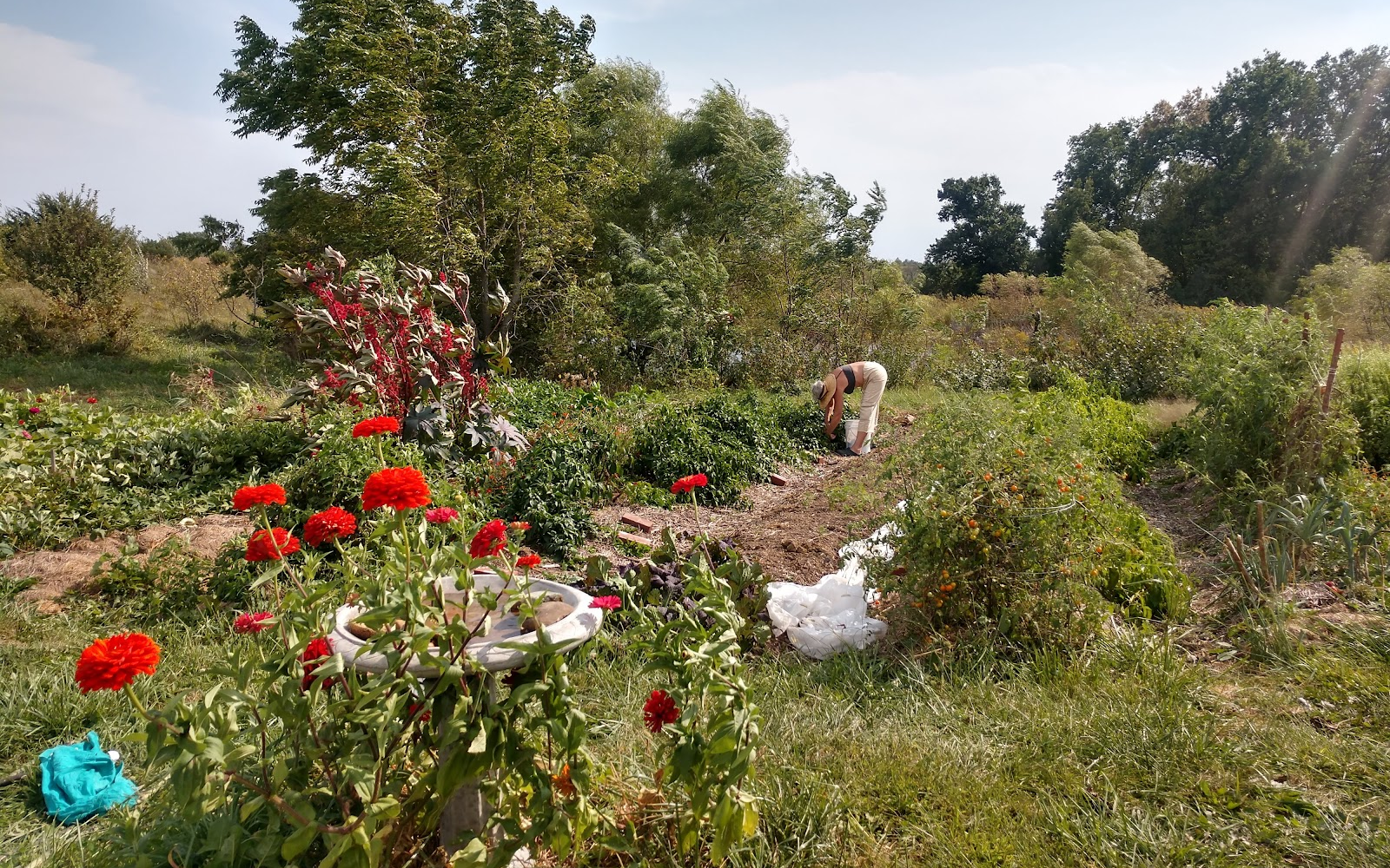 Red Earth Farms