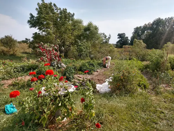 Red Earth Farms