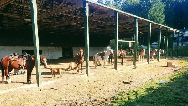 Red Hawk Stables