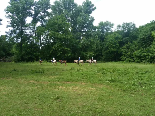 Redbarn Riding