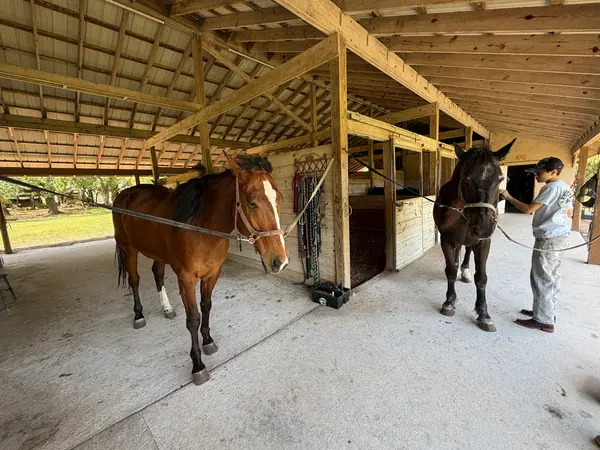 Redland Equestrian Center