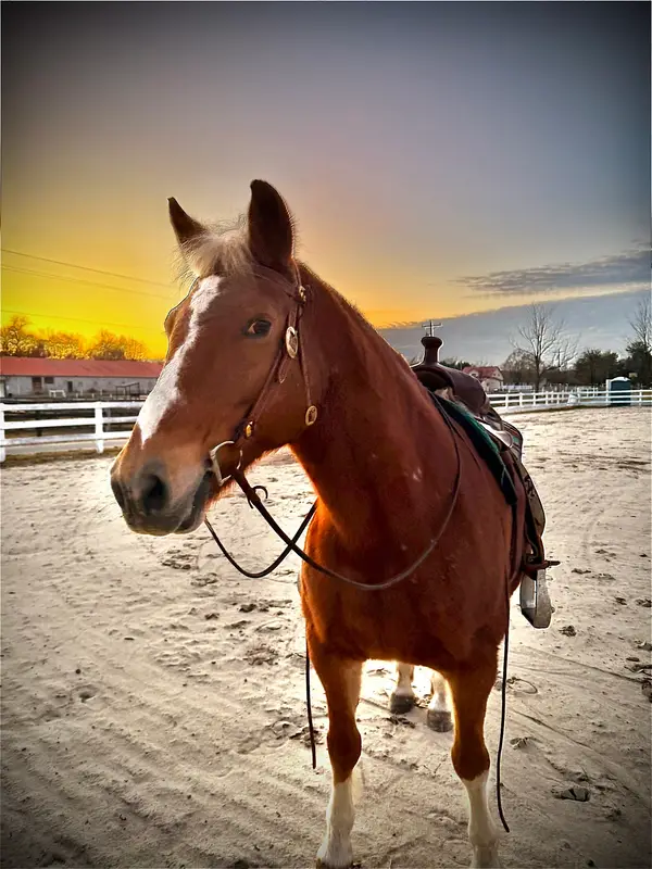 Redstone Ranch LLC