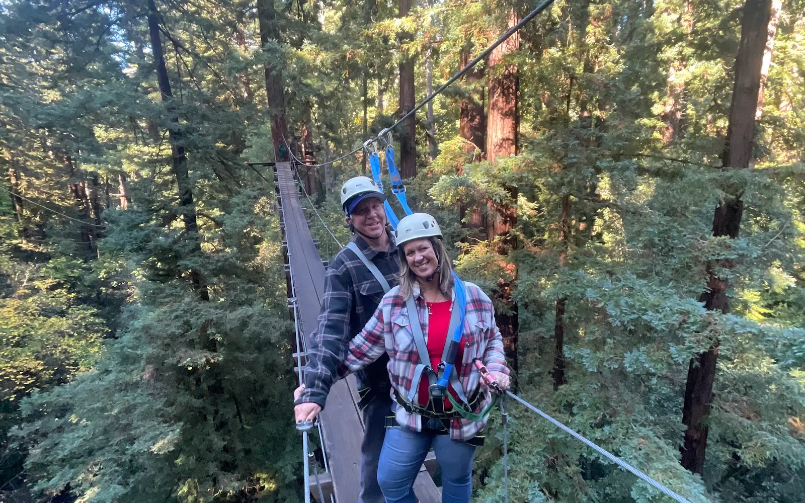 Redwood Canopy Tour