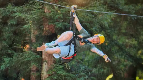 Redwood Canopy Tour, photo 2