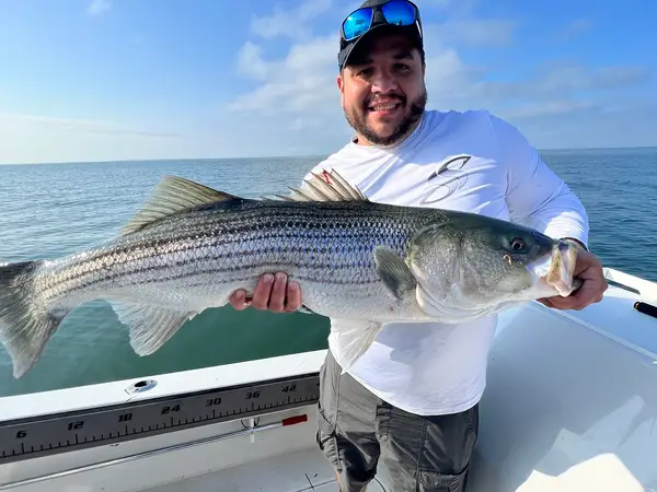 Reel Cast Charters, Old Saybrook, CT
