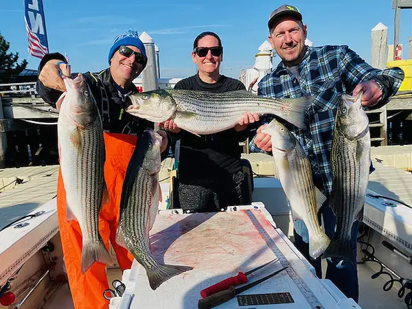 Reel Fun Sportfishing, Highlands, NJ