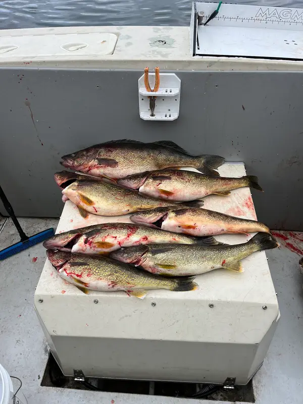 Reel Memories Sportfishing, photo 3