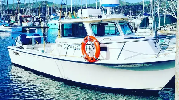 Reel Obsession Sportfishing