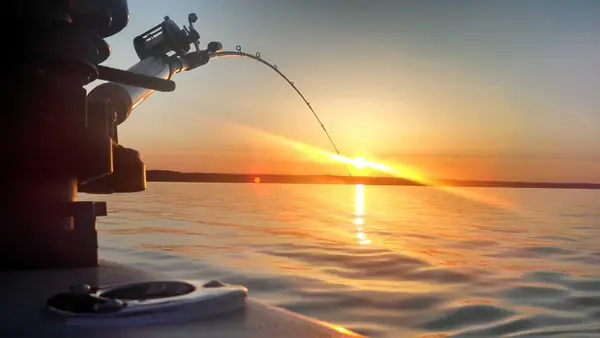 Reel Stories Fishing Charters, Romulus, NY