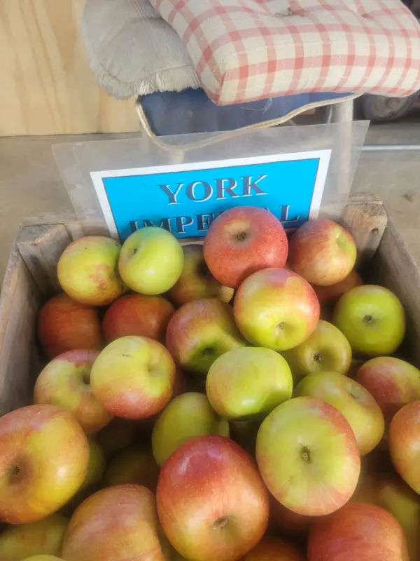 Rellim Orchard, Kearneysville, WV