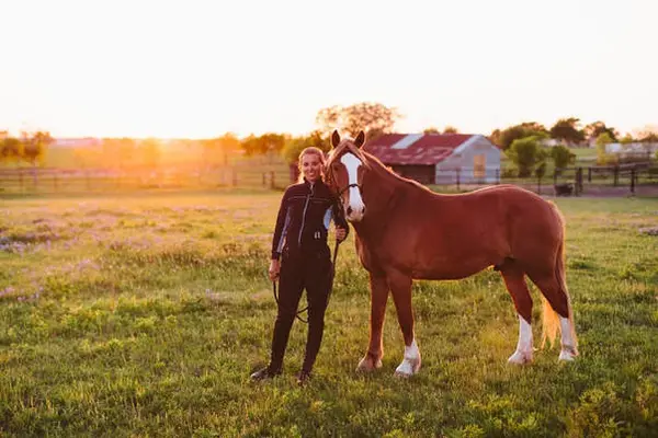Riding Lessons and Horse Training
