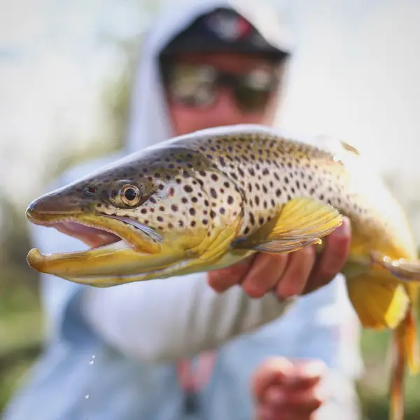 Riffletrip Outfitters, Flippin, AR