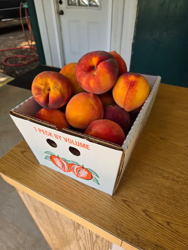 Riggs Orchard, Spiro, OK