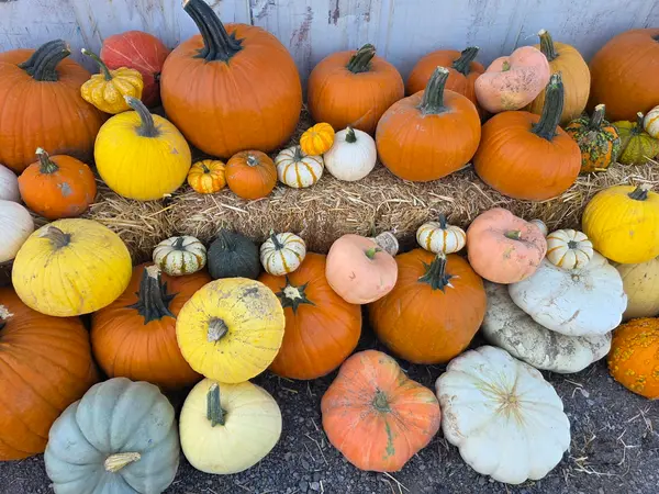 Riley's Farm Fresh, Genola, UT