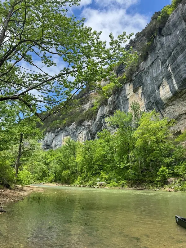 Rio Buffalo Outfitter, Jasper, AR