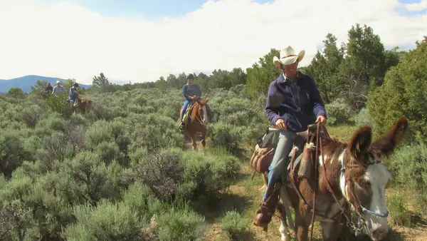Rio Grande Stables