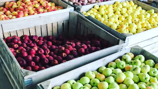 Rittman Orchards, Doylestown, OH