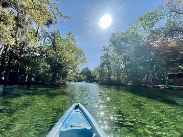 River Adventure Tours, photo 1