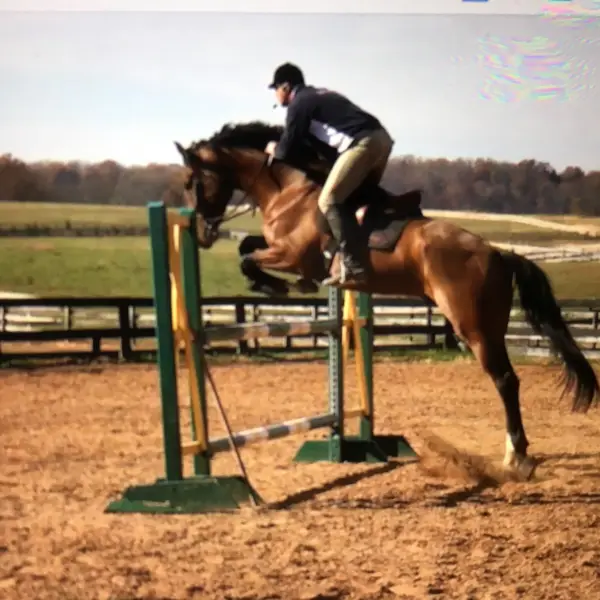 River Chase Farm