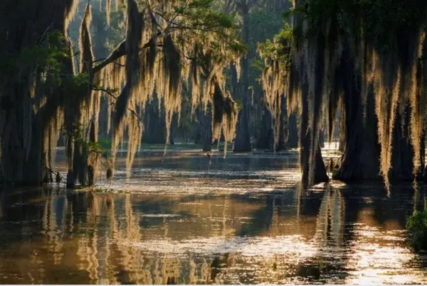 River View Swamp Tours, Pearlington, MS