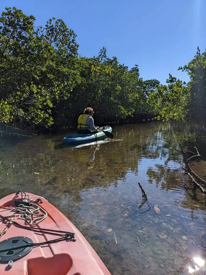 River Wild Kayaking
